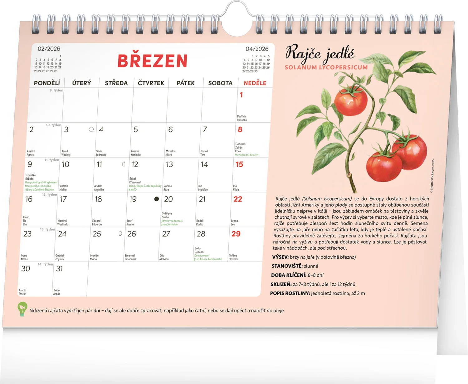NOTIQUE Mesačný stolový kalendár so semienkami CZ 2026, 30 × 21 cm