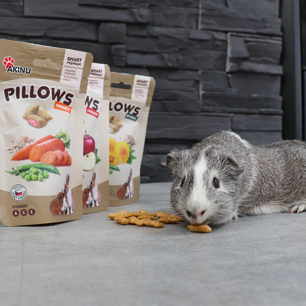 Akinu PILLOWS Vankúše s mrkvou pre hlodavce 11 x 40 g