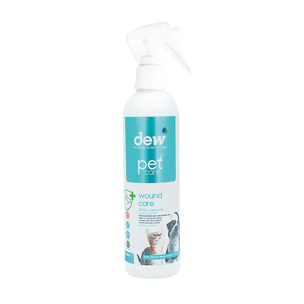 DEW Antiseptický sprej na rany 250 ml 1×250 ml, antiseptický sprej na rany