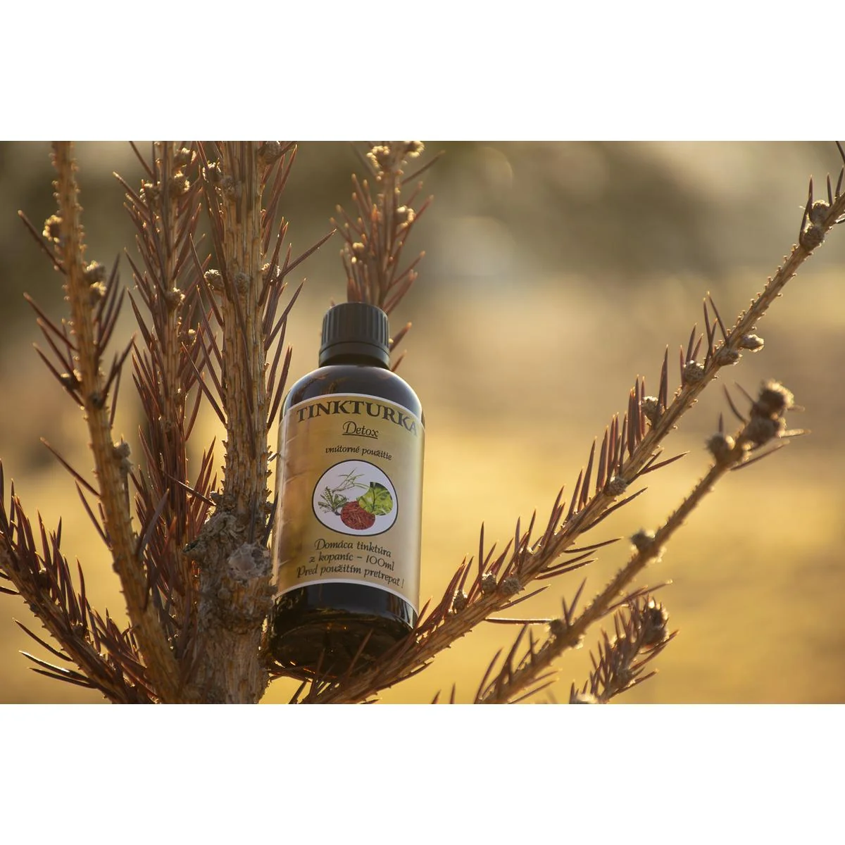 TINKTURKA - Detox 100ml