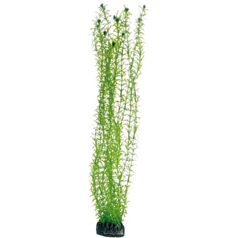 HOBBY Plantasy Set 2- Sada umelých rastlín 2