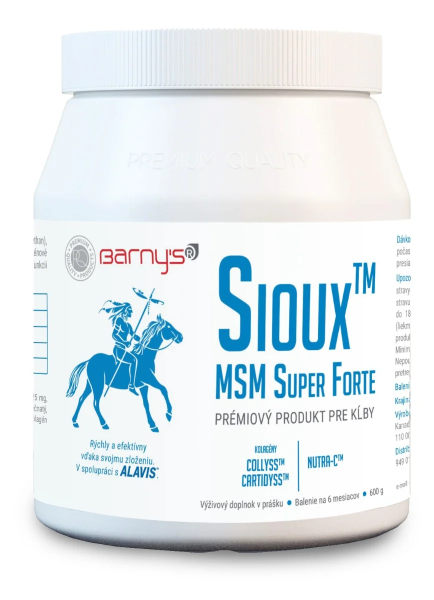 Barny's Sioux MSM Super Forte 1×600 g, prášok