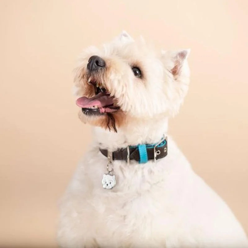 MF WEST HIGHLAND WHITE TERRIER 2,6x2,7cm gravírovateľný prívesok