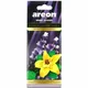 AREON MonAreon Patchouli-LavenderVanilla