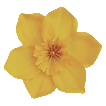 Virtuálny narcis 1 ks narcis