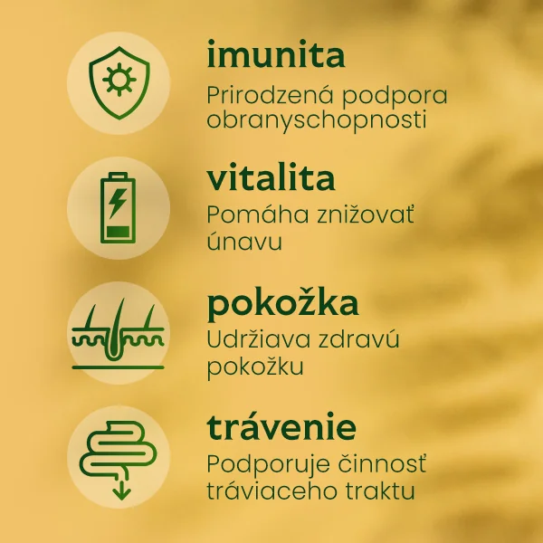 TEREZIA HLIVA USTRICOVITÁ S RAKYTNÍKOVÝM OLEJOM 2×100 cps, výživový doplnok