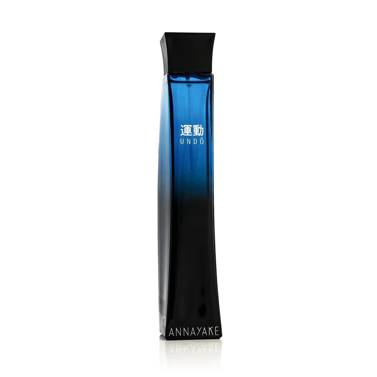 Annayake Undo Pour Homme toaletná voda 100 ml