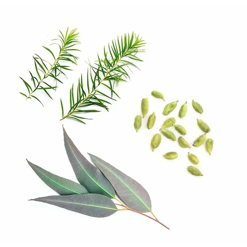doTERRA Air olej na dýchanie a upchatý nos 15 ml Objem: 15 ml