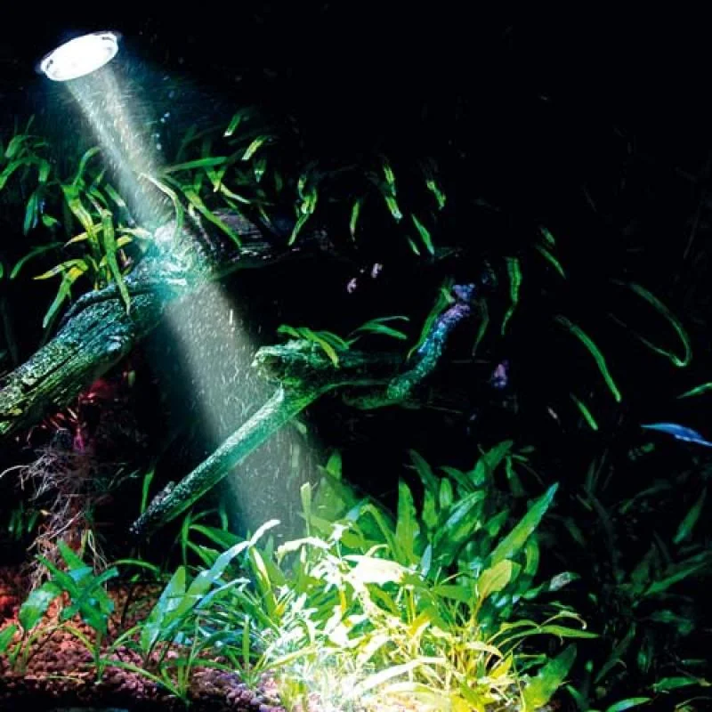HOBBY Bubble Air Spot colour & moon okysličovač s farebným LED osvetlením