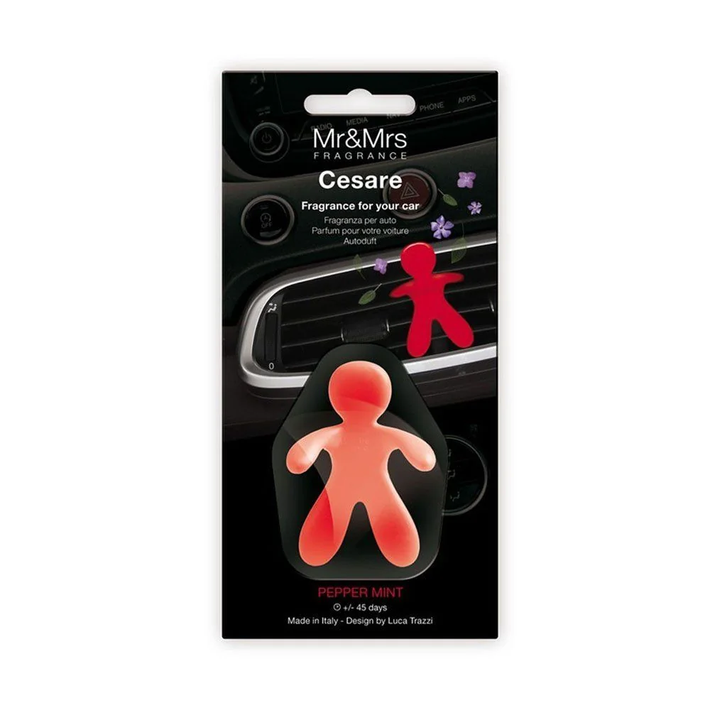 Mr&Mrs Cesare Pepper Mint 1×1 ks, osviežovač vzduchu