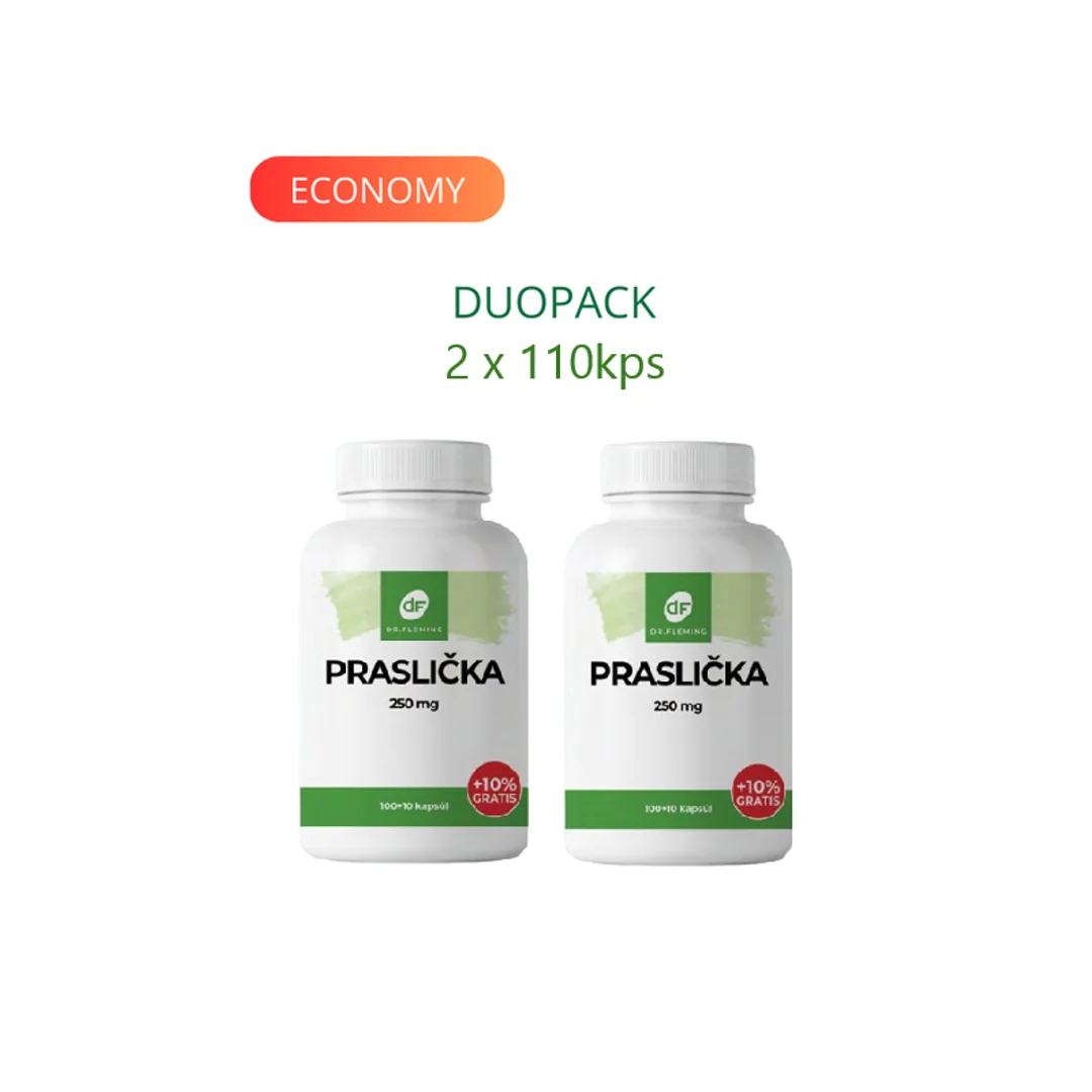 DR. FLEMING Praslička 250mg +10% grátis 220ks DUOPACK
