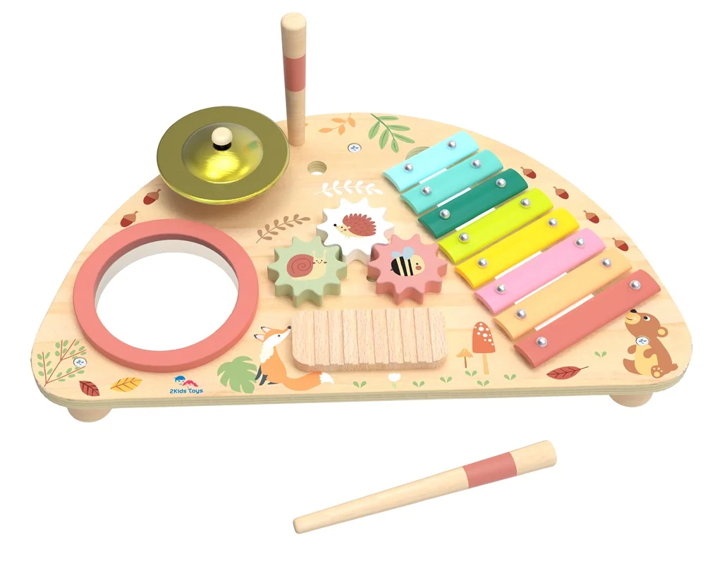 2Kids Toys Multifunkčná hudobná doska