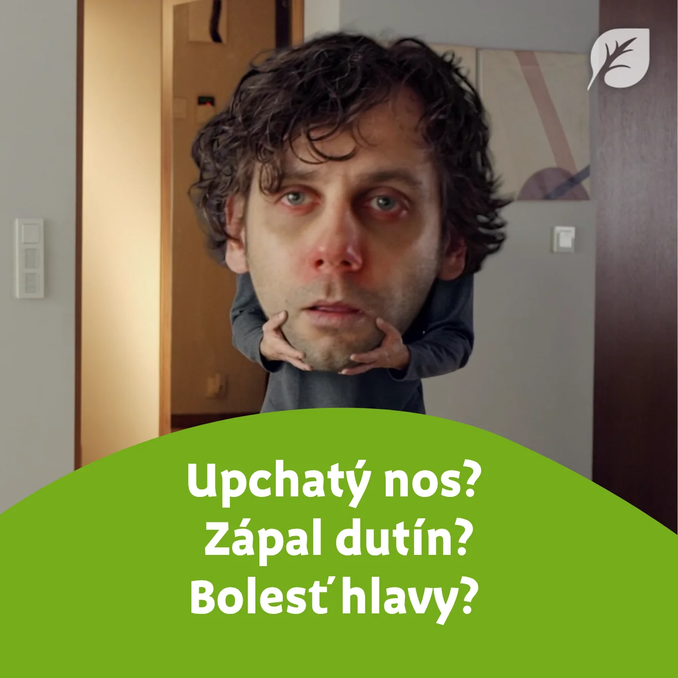 Sinupret Akut 1×20 tbl, liek na hustý hlien
