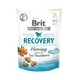 Brit Care Dog Snack Recovery Herring 150g