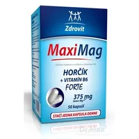ZDROVIT MAXI MAG HORCIK+B6 FORTE