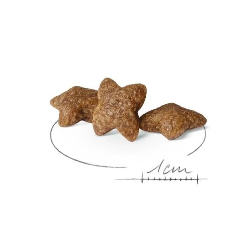 ROYAL CANIN SHN MINI ADULT 800g granule pre dospelých psov malých plemien