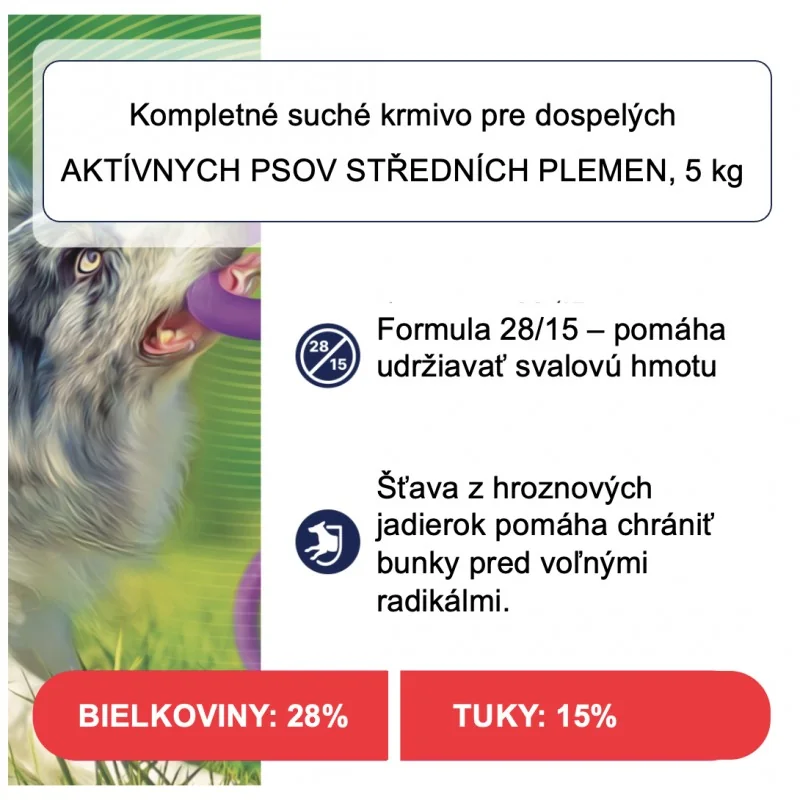 CLUB 4 PAWS Premium Active. Pre dospelých aktívnych psov stredných plemien 5 kg (7981)