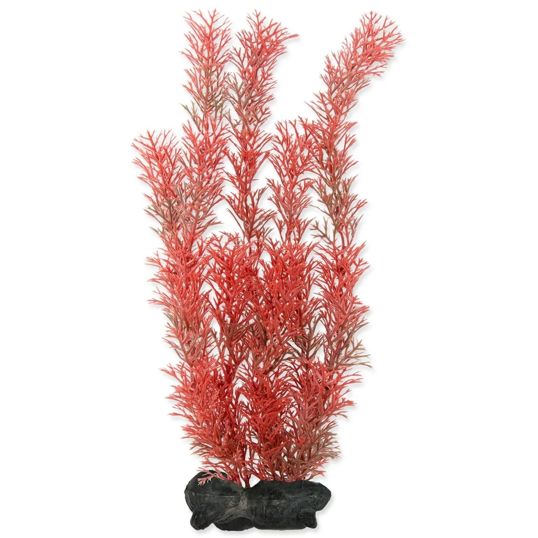 Dekorácia Tetra Rastlina Tetra Foxtail Red L 30cm