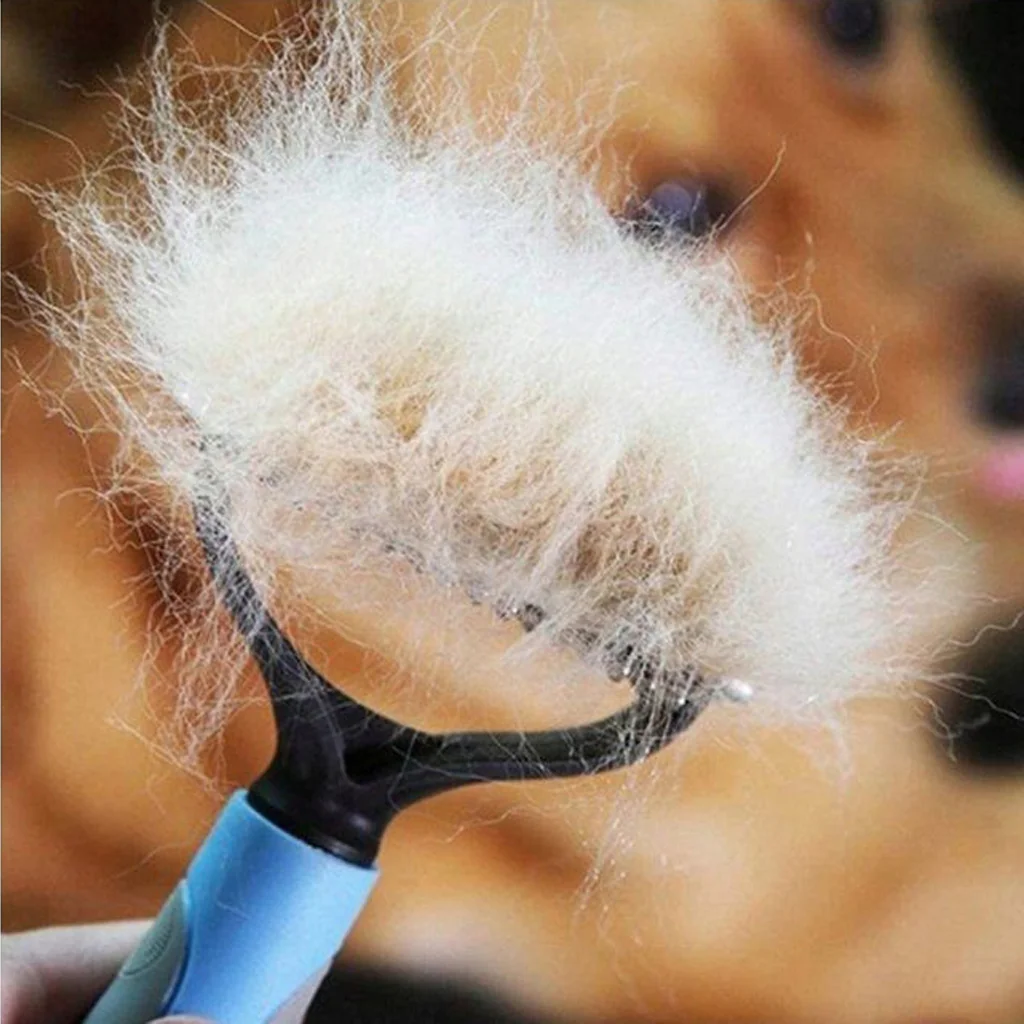 MG Brush hrebeň na vyčesávanie srsti, modrý
