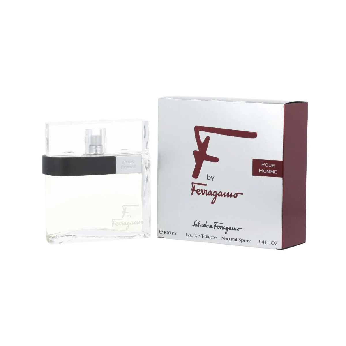 Salvatore Ferragamo F by Ferragamo Pour Homme toaletná voda 100 ml