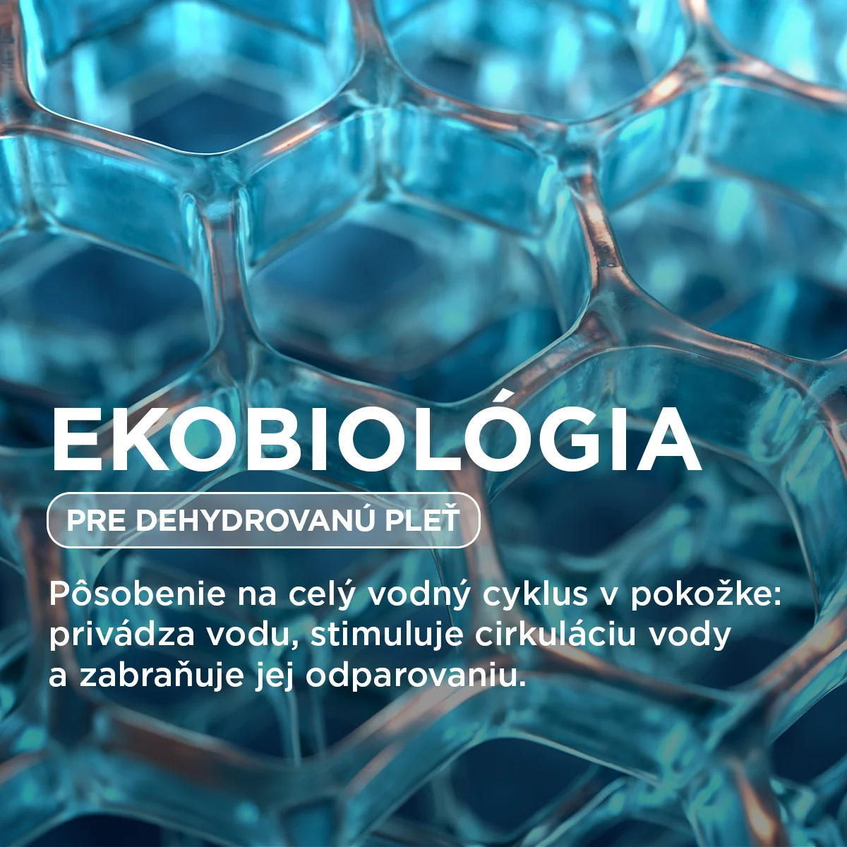 BIODERMA Hydrabio Hyalu+ 1×30 ml, vysoko koncentrované sérum na dehydratovanú pleť