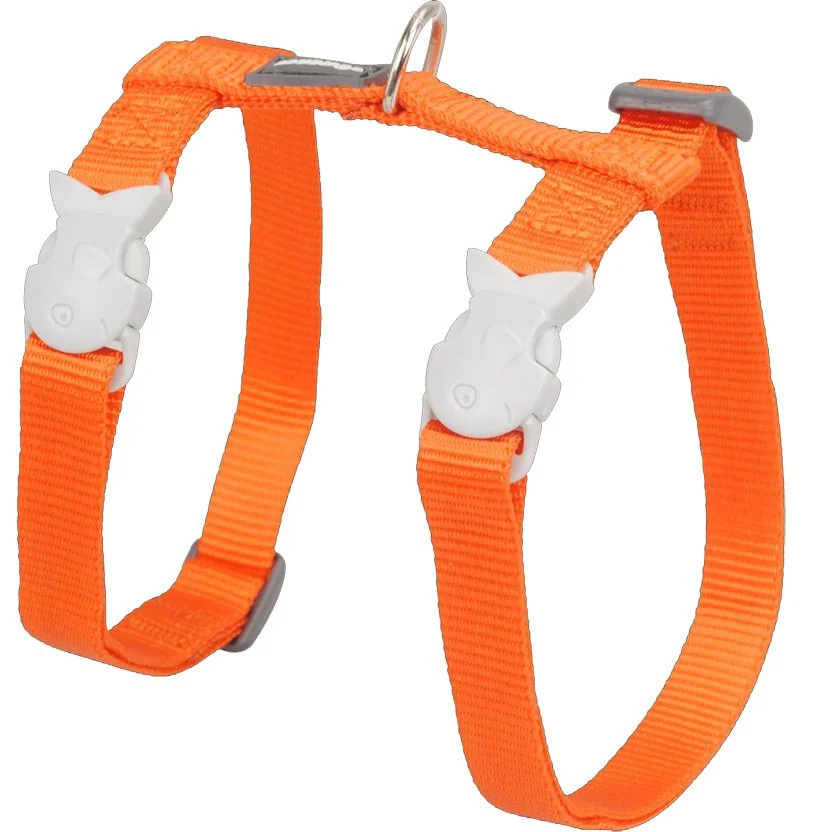 Nylonový postroj s vodítkom pre mačky RED DINGO oranžový