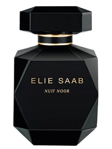 Elie Saab Nuit Noor Edp 90ml 1×90 ml, parfumová voda