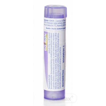 SAMBUCUS NIGRA   CH30 1x4 g 1×4 g, homeopatický liek