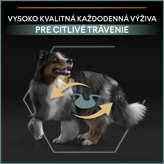 PRO PLAN Large Puppy Athletic Sensitive Digestion granule pre šteniatka jahňacie 12 kg 1×12kg, granule pre šteňatá