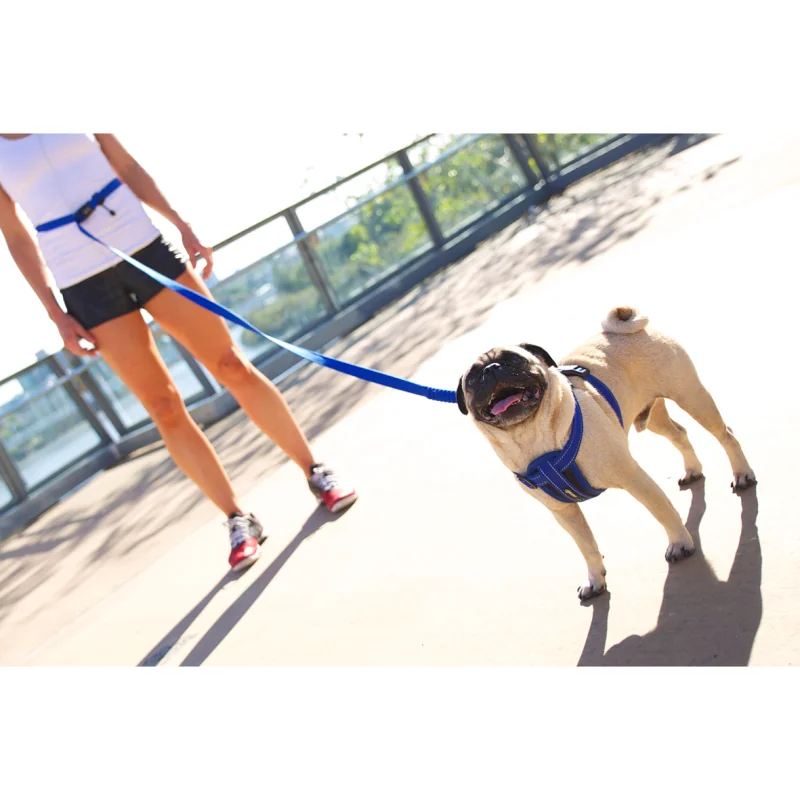 EZYDOG VODÍTKO ROAD RUNNER LEASH™ - BLUE