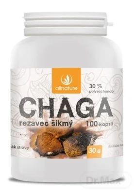 Allnature Chaga 1×100 cps, výživový doplnok