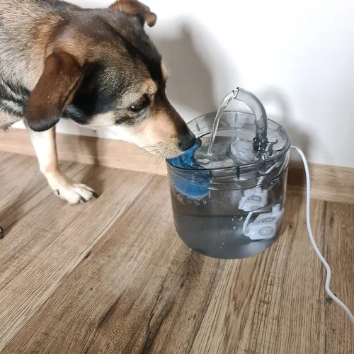 Fontánka - napájačka pre psa/mačku 2000ml