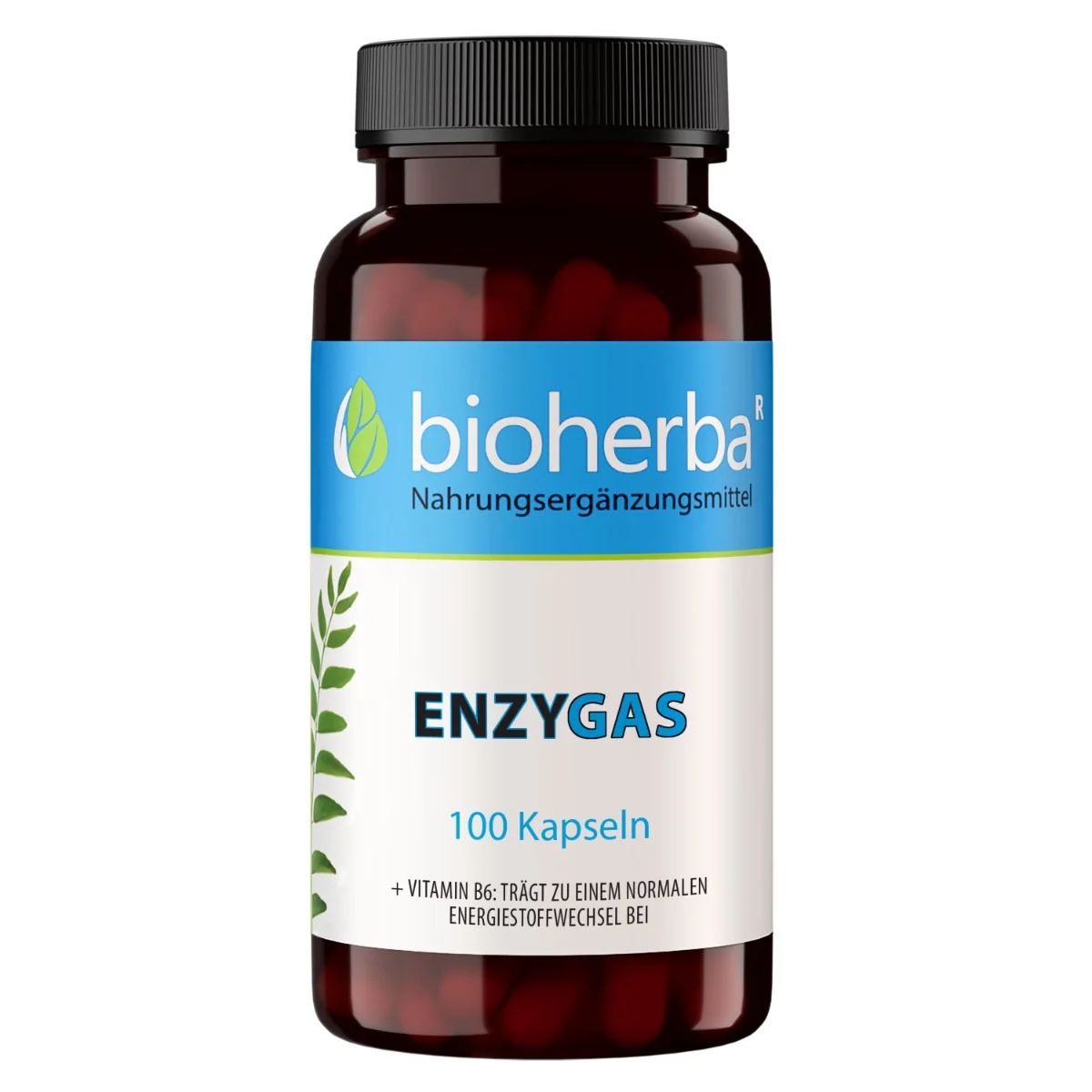 Anti-Gas – enzýmy proti nadúvaniu – 100 kapsúl – Bioherba