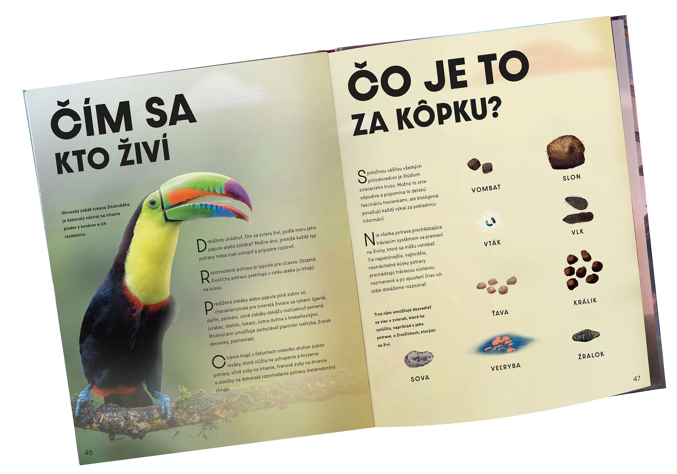 ELLA&MAX Veľký obrazový sprievodca Zvieratá