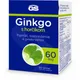 GS Ginkgo 60 mg s horčíkom, 60 tbl