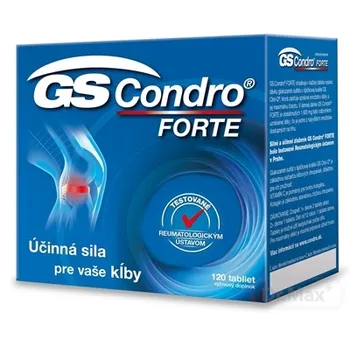 GS Condro FORTE 1×120 tbl