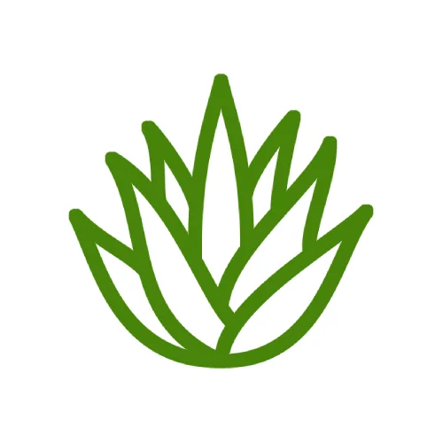 Aloe vera po opaľovaní
