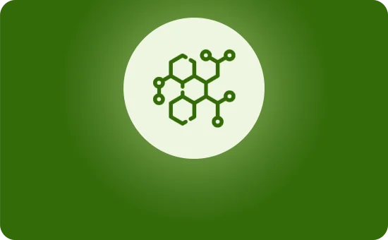 Enzymoterapia