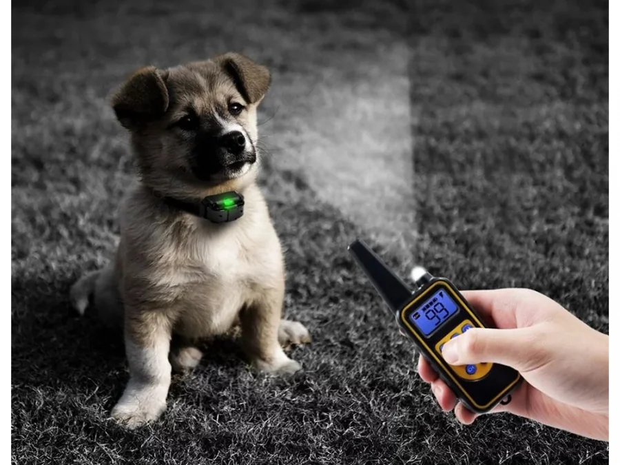 Elektronický výcvikový obojok pre psov s diaľkovým ovládaním a dosahom 800 m – model Pilot
