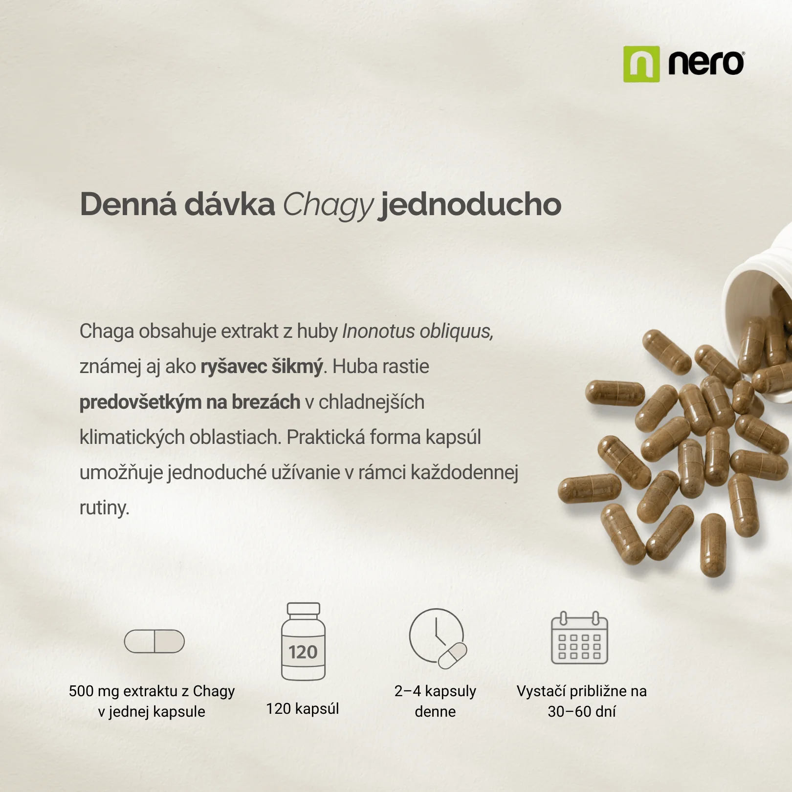 NERO Chaga 500 mg 120 kapsúl