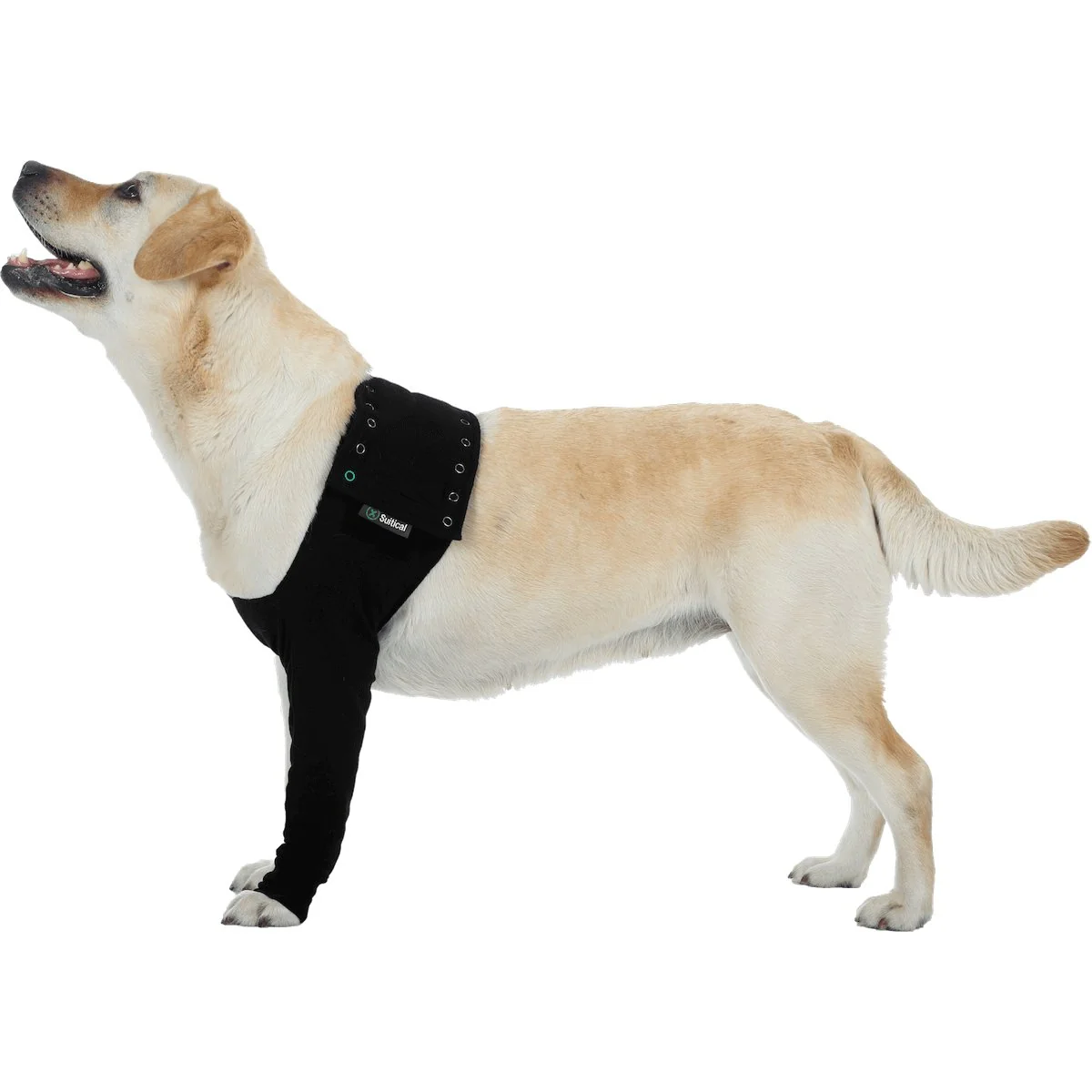 Pooperačné ochranné oblečenie na prednú nohu psa Rozmery návleku: 10cm, obvod hrudníka: 27-33 cm