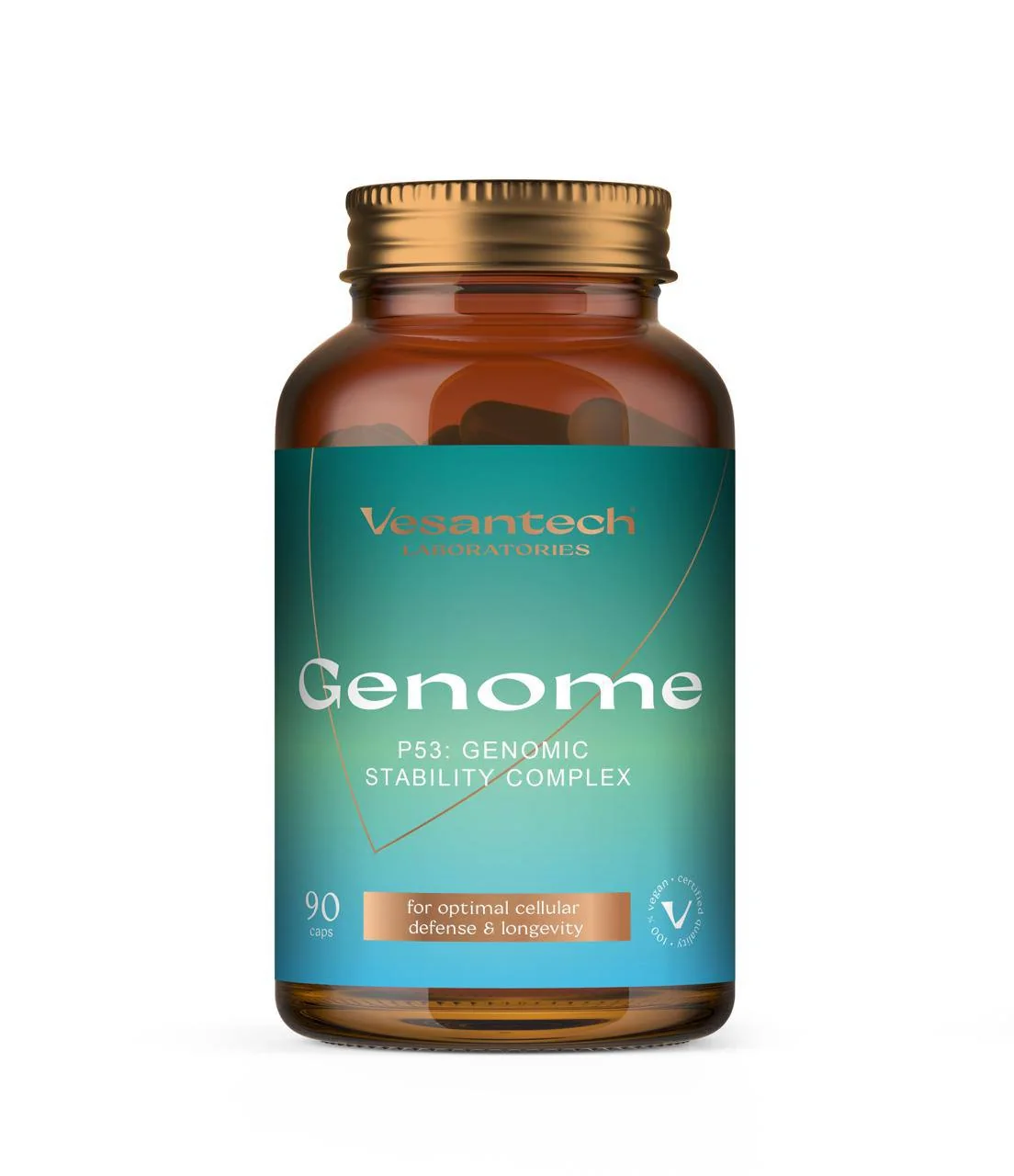 Vesantech Genome (P53 Genomic Stability Complex)