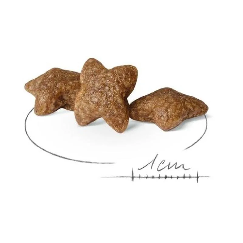 ROYAL CANIN SHN MINI ADULT 2kg granule pre dospelých psov malých plemien