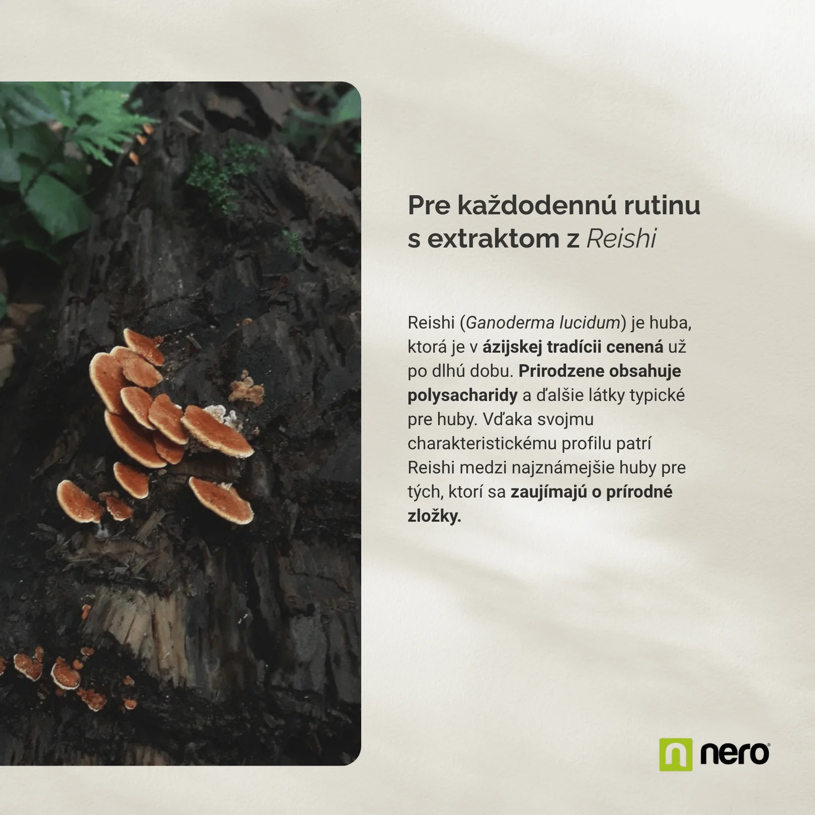 NERO Reishi 400 mg 120 kapsúl