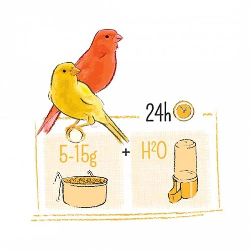 WITTE MOLEN PUUR kanárik 750g