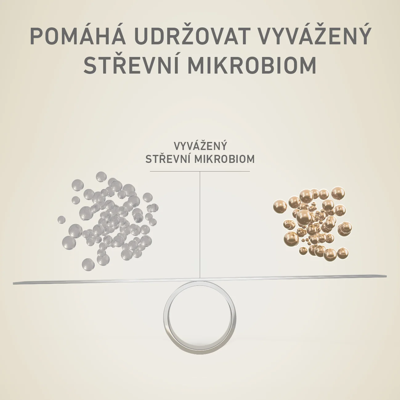 Purina ONE Mini Active granule pre psov kura 800 g 1×800 g, kompletné krmivo pre dospelých psov