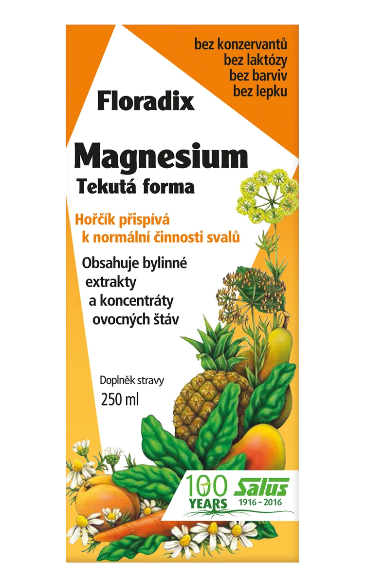 SALUS Floradix Magnesium 1×250 ml, tekutá forma