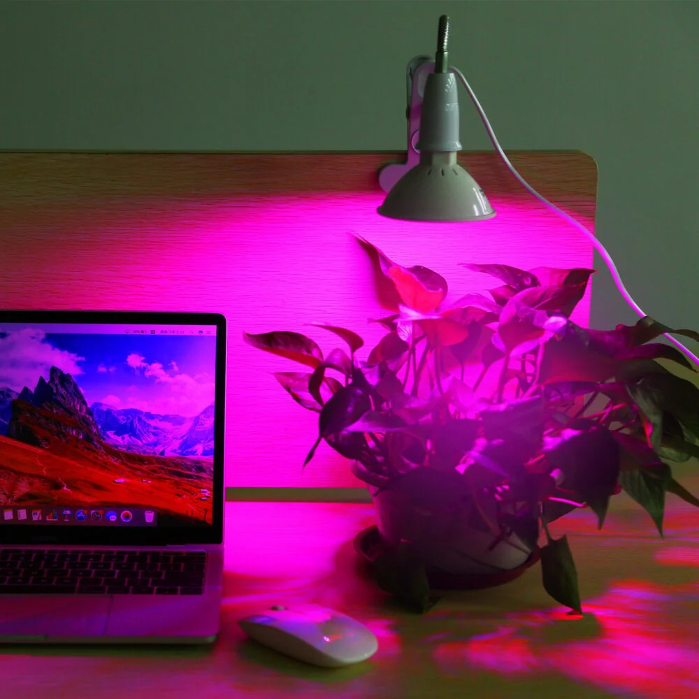 MG Clip Plant Light LED lampa na rastliny 20W, biela