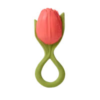 OLI&CAROL hryzatko tulipán Theo the Tulip