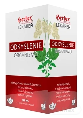 HERBEX Lekáreň ODKYSLENIE organizmu 20×3 g, bylinná čajová zmes